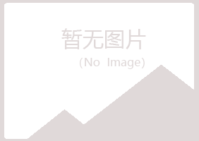 八公山区冷安艺术有限公司